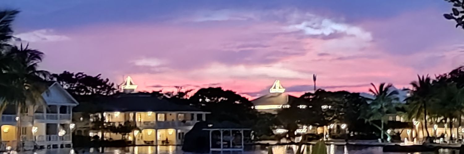 DSide93's profile banner image