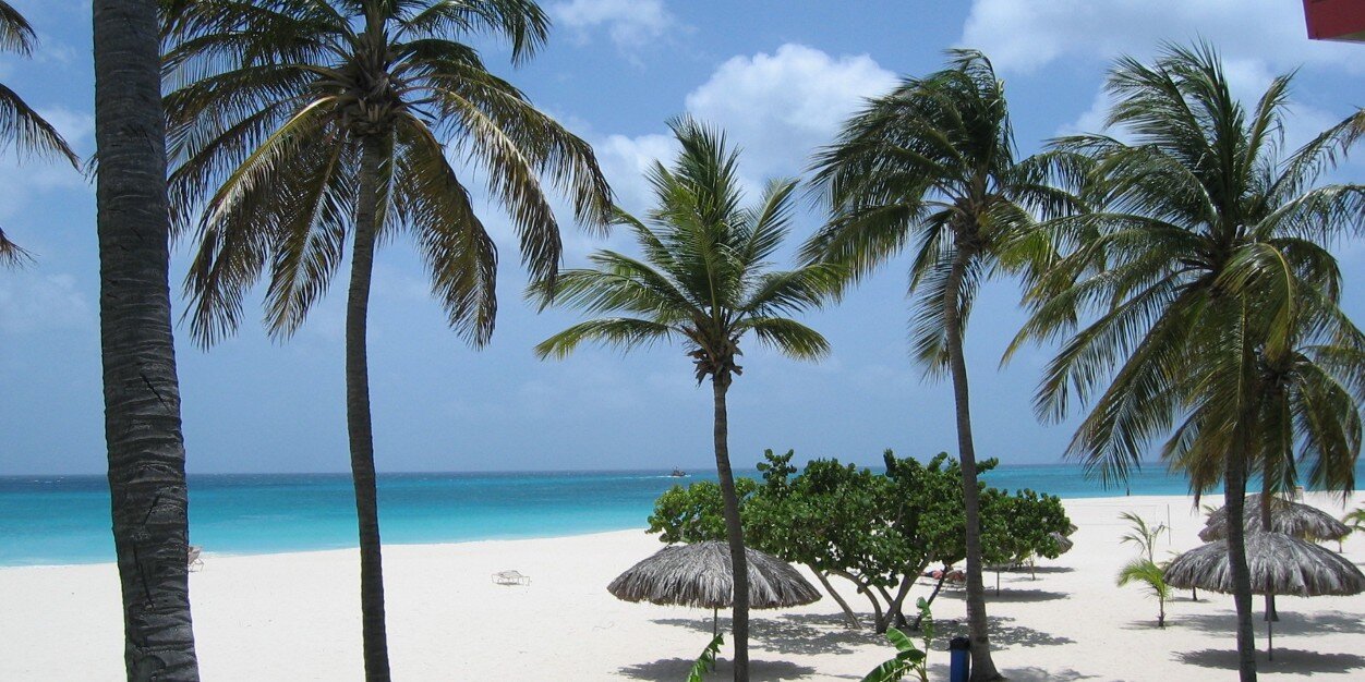 Alfred Barkhuis banner