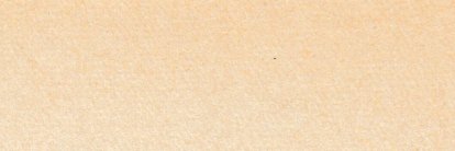 Chess Pigeon's banner