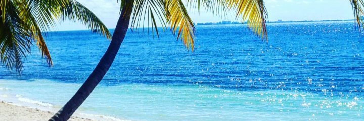 FerBerdeja's profile banner image