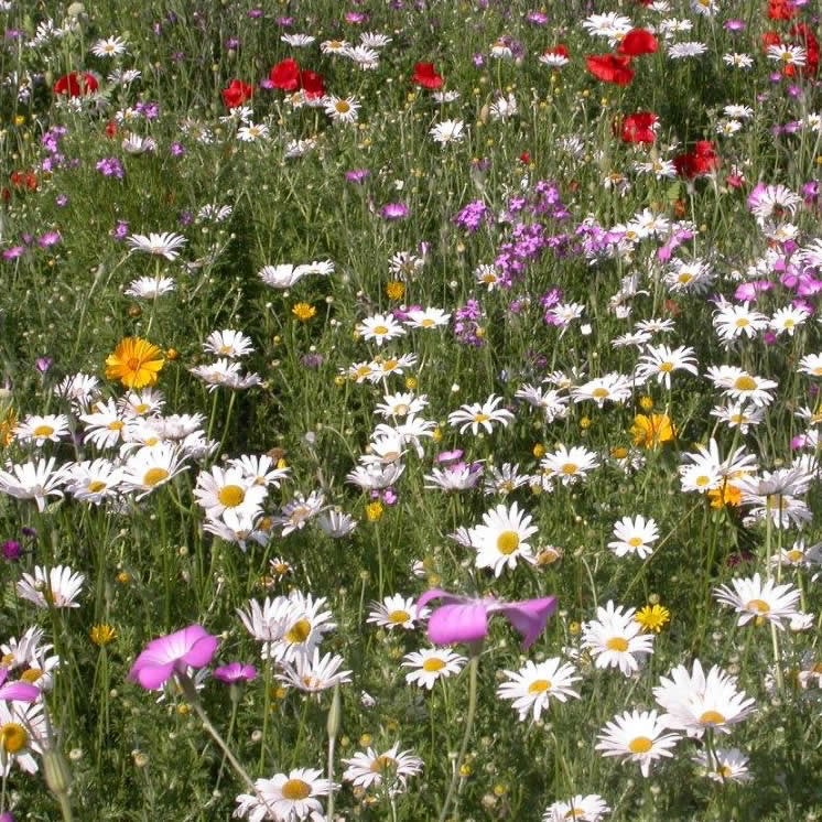 Mari. no messaggi ,andate pure oltre ,seleziono. banner