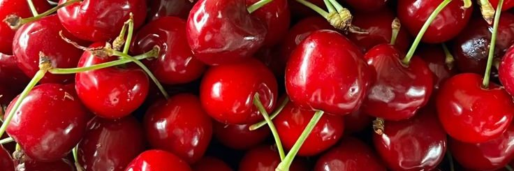 👽Zink🍒 banner