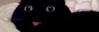 liinaaa_a's profile banner image