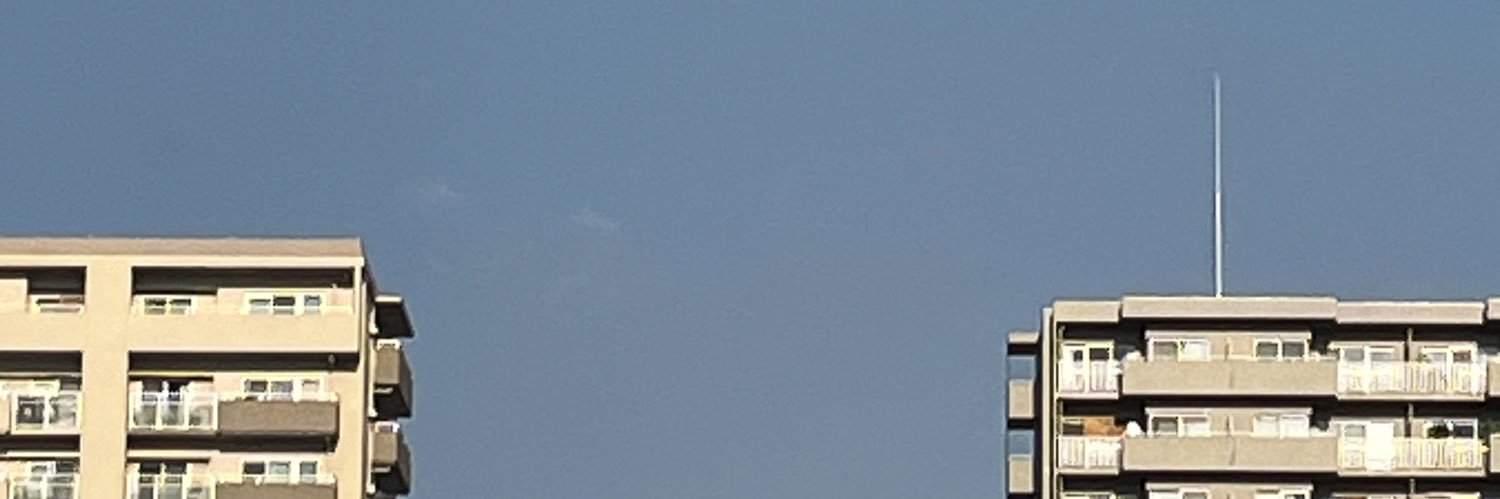 _lie_p's profile banner image