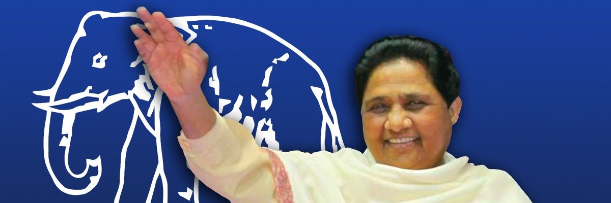 BSPUP1's profile banner image