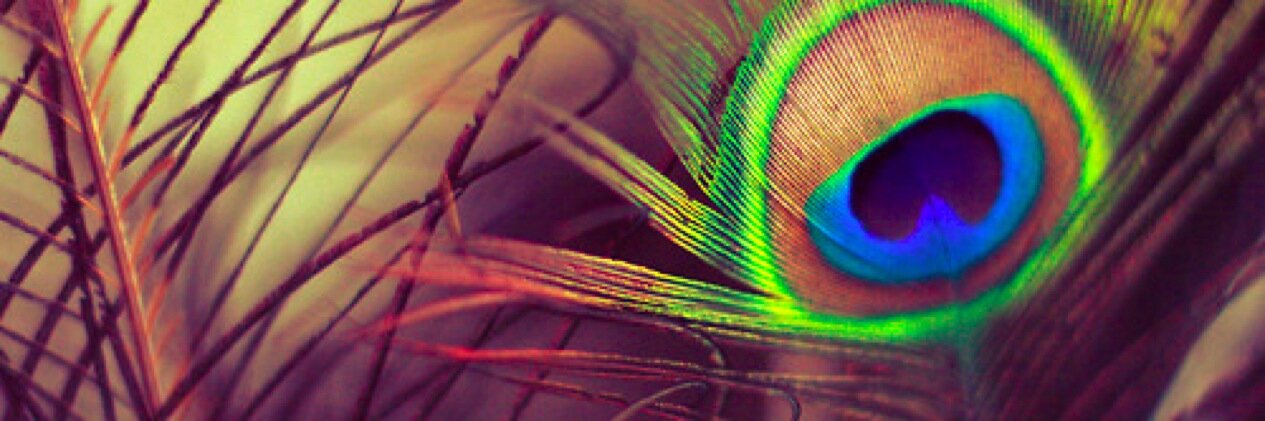 redomx125's profile banner image