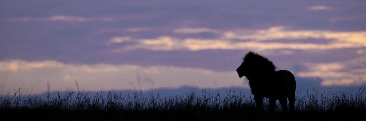 WsWasz's profile banner image