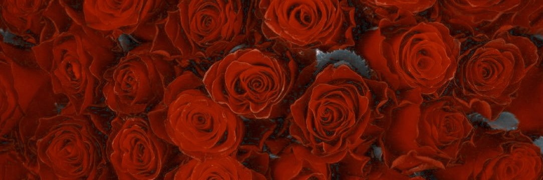 Savannah 🌹 Bertha Russell Supremacy banner