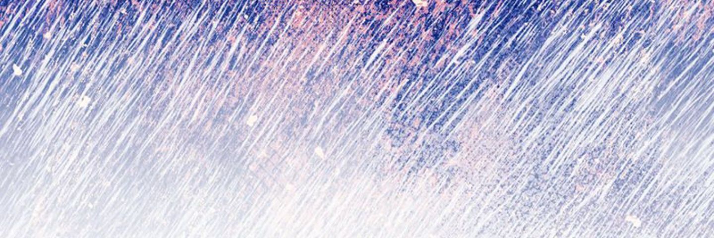 はな banner