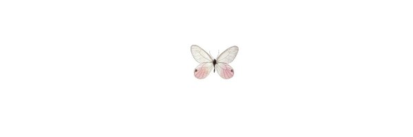 BrendabBron's profile banner image