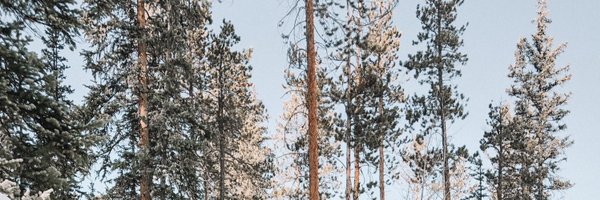 FreedmanRachelS Profile Banner