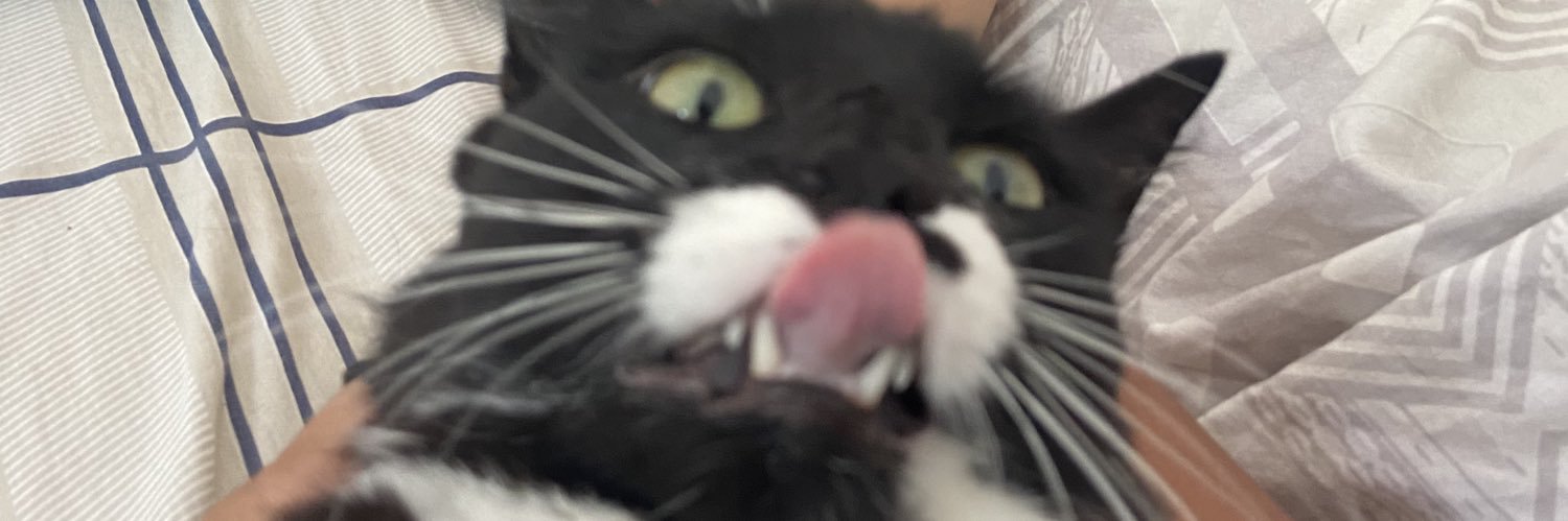 carolandradefv's profile banner image