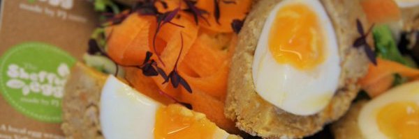 PJtaste's profile banner image