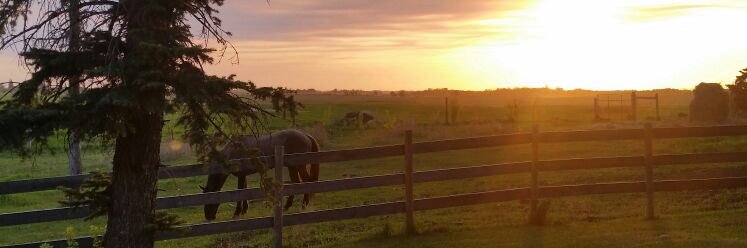 Walter_Farms's profile banner image