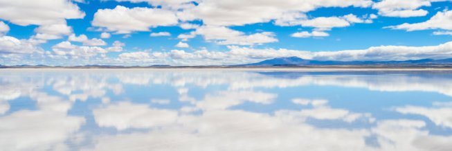 whatwillido3's profile banner image