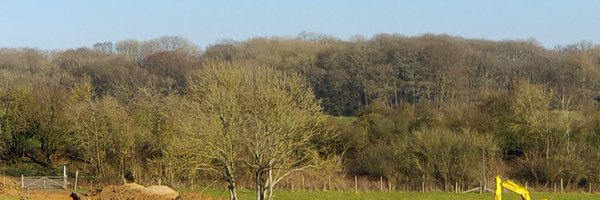 ChilternsJane Profile Banner