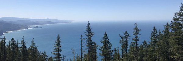 HaeyeonHongMD Profile Banner