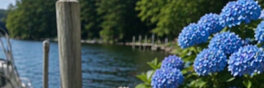 Summerr091's profile banner image
