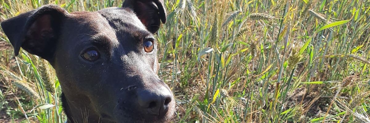 Fayebrewster5's profile banner image