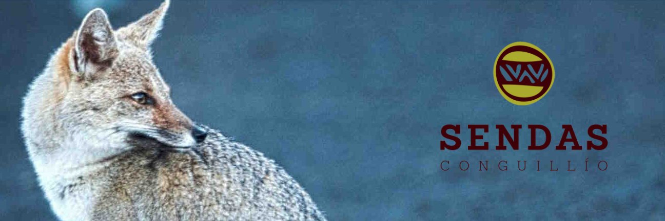 infoConguillio's profile banner image
