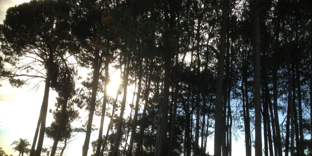 Jimmy J ⚜️ banner