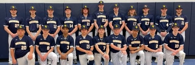 Wolverines Baseball banner