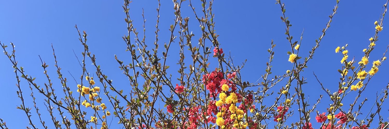 JrmMamma's profile banner image