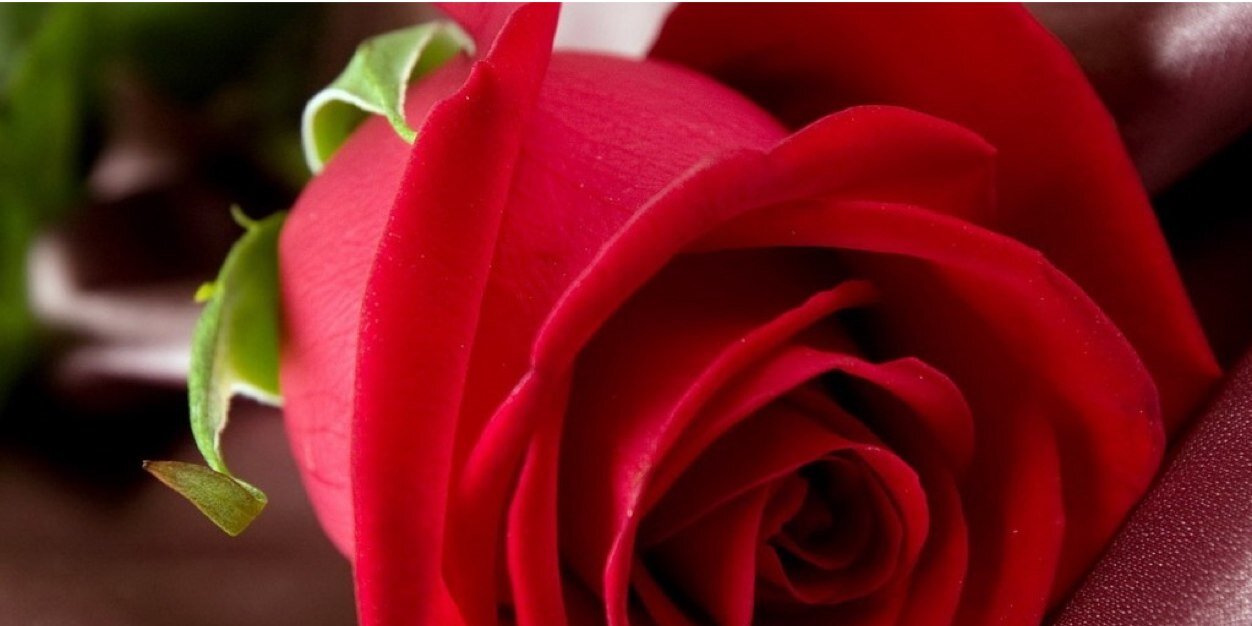 yabrafi's profile banner image