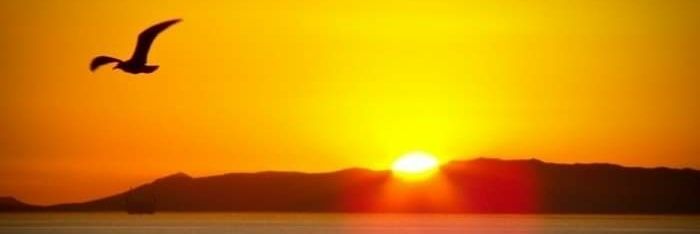 Africa Action for change 🌟🇸🇳🌟 banner