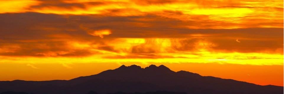 rmenaker's profile banner image