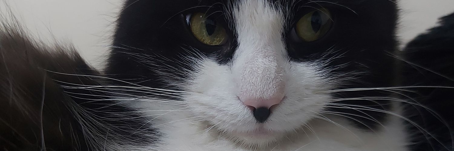 MicaVictoria_'s profile banner image