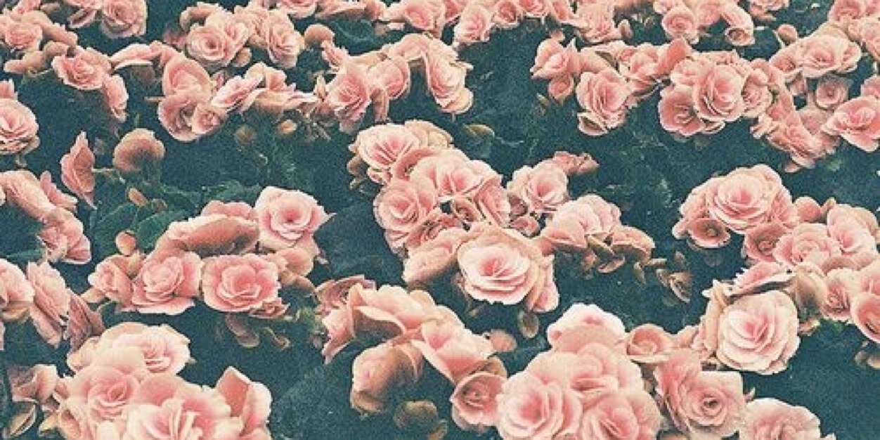 jamielaura09's profile banner image