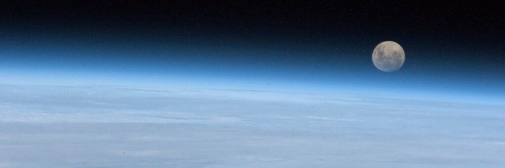 Mary L. Brandt, MD, MDiv banner