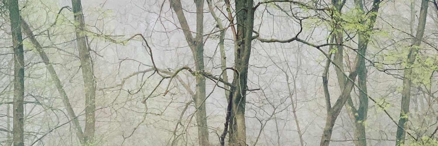 jessecarlson's profile banner image