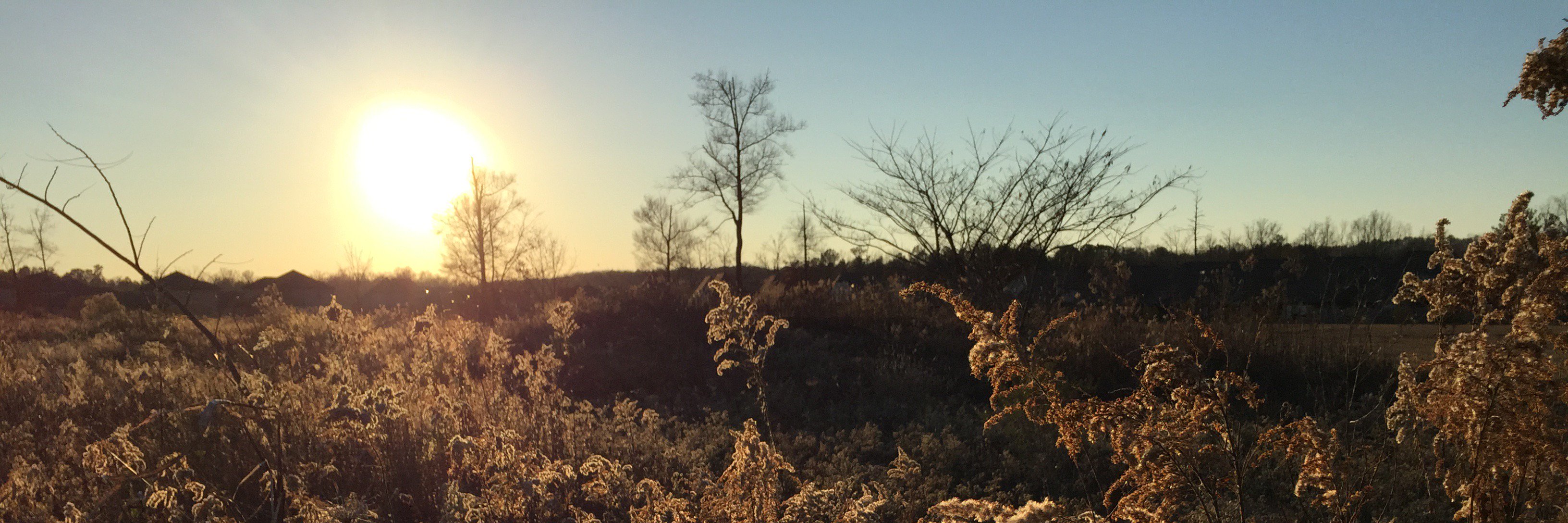 ryan_gaines's profile banner image