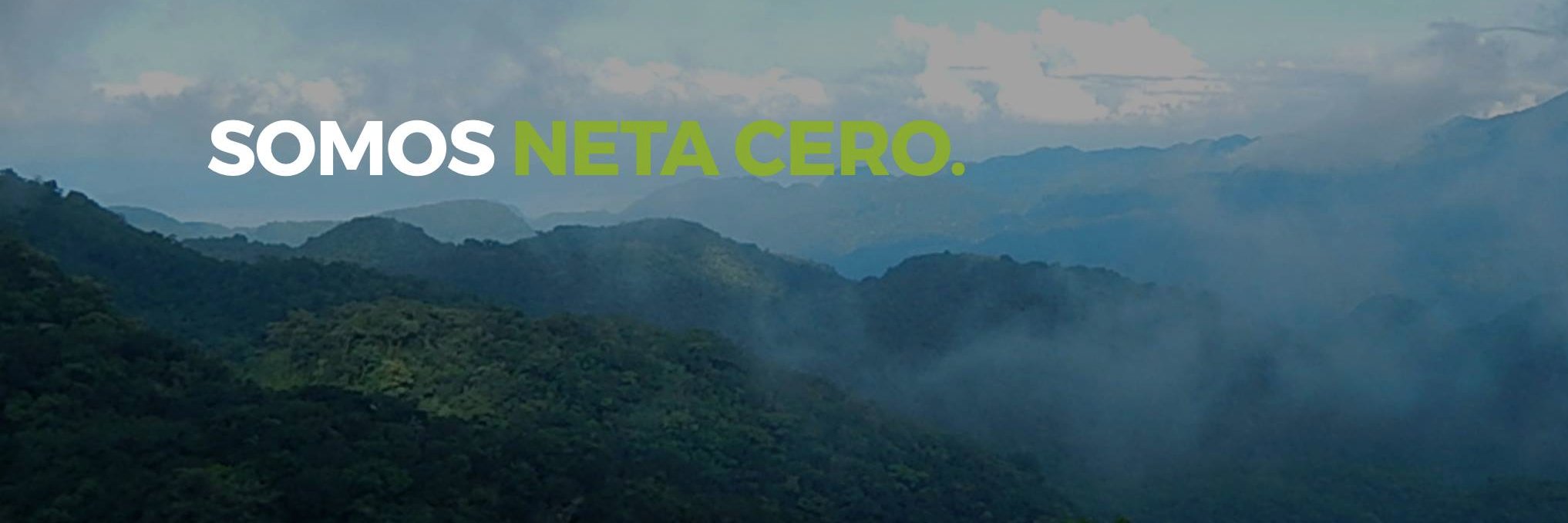 NetaCero's profile banner image