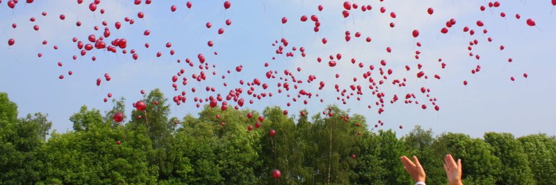 Monks Coppenhall banner