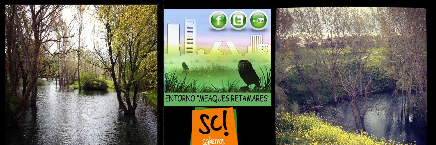 ENTORNOMEAQUES's profile banner image