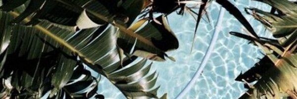 Angela_Frances Profile Banner