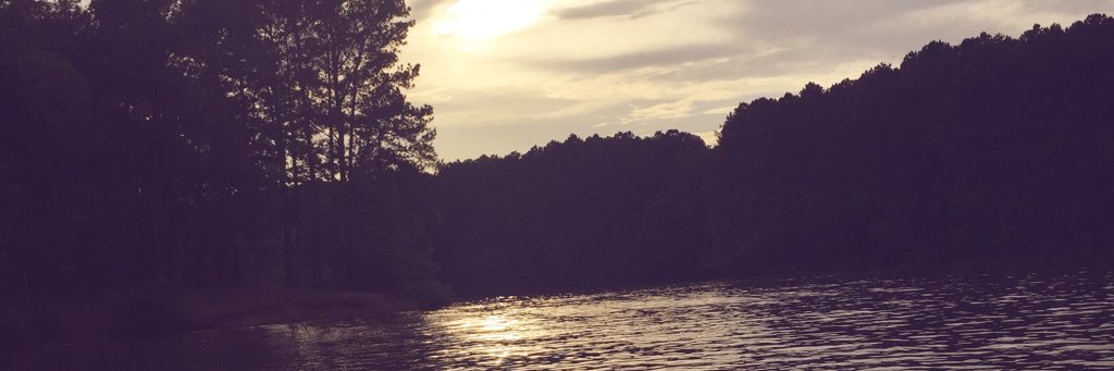 chelseamaynard_'s profile banner image