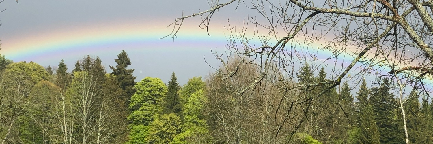BauerJan_pt's profile banner image