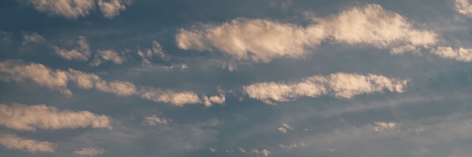 ozannele's profile banner image