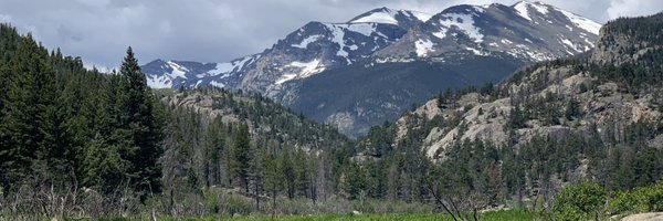 LauraRaffalsMD Profile Banner