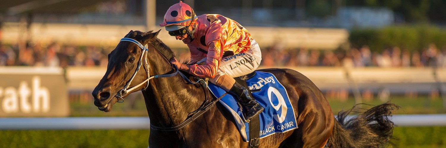 Bronwen Healy Photography banner