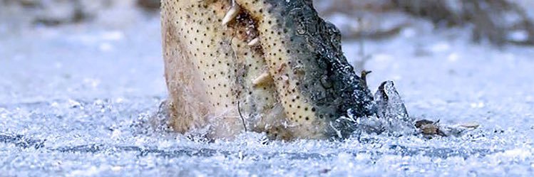 mpactwrench's profile banner image
