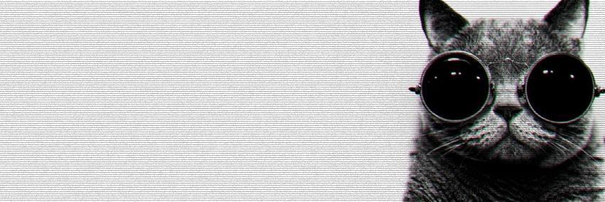 talydcruz's profile banner image
