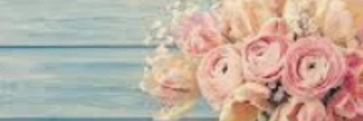 Sara Jackson banner