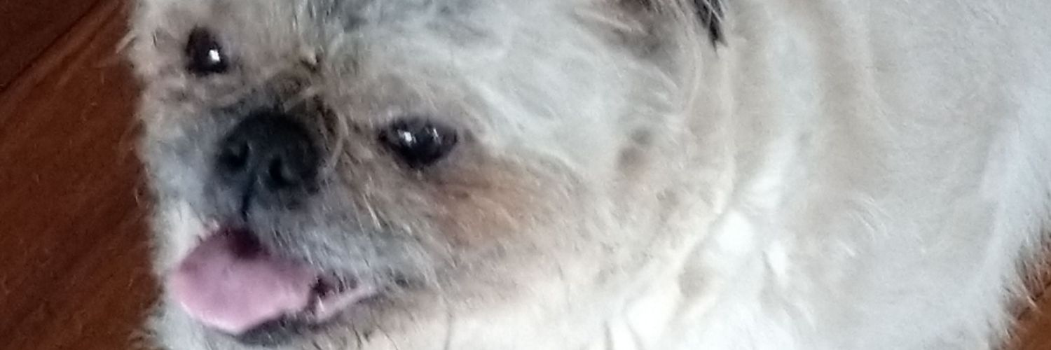 matmgarner's profile banner image