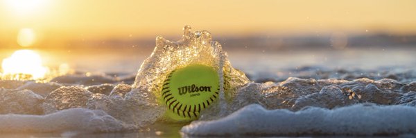 FGCLsoftball Profile Banner