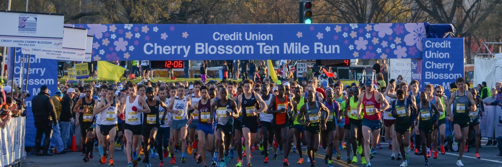 Credit Union Cherry Blossom banner